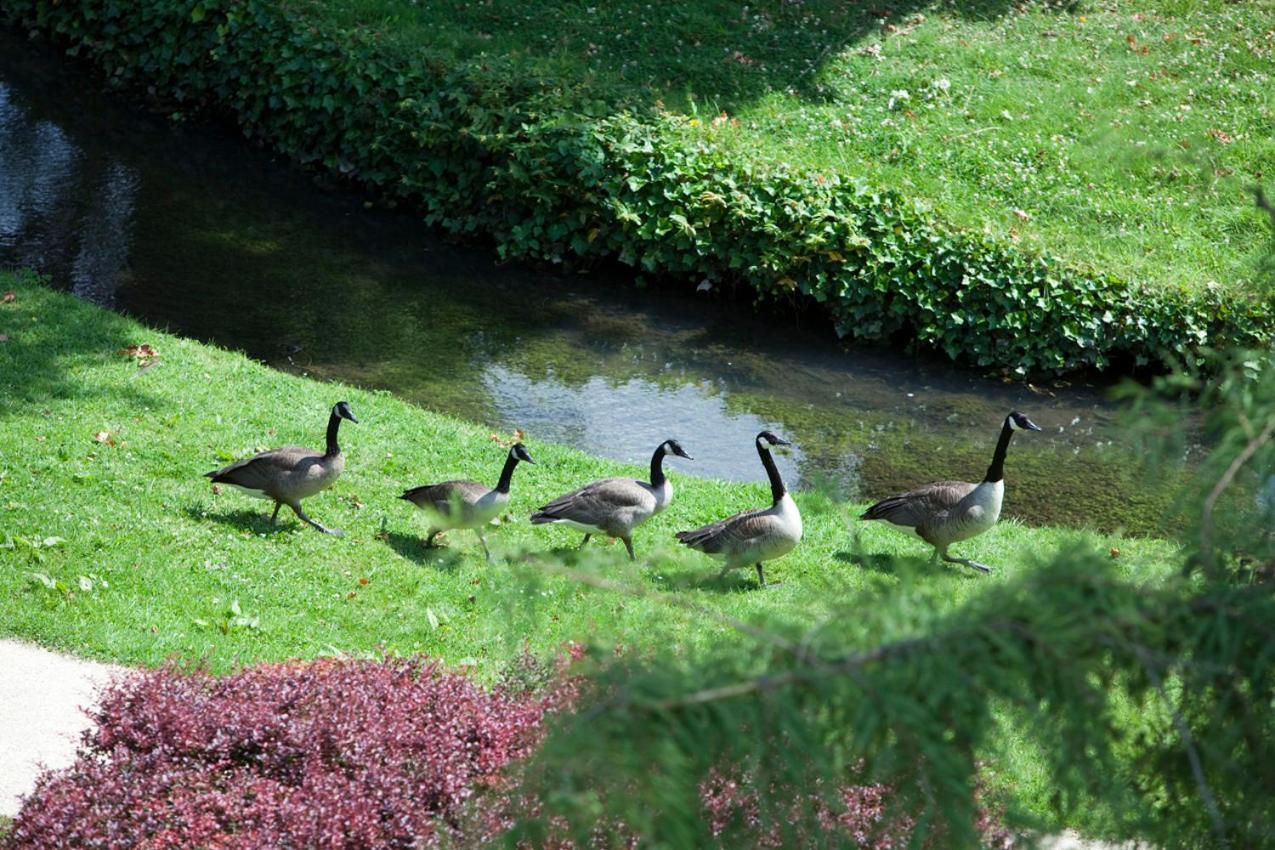 Domaine De Saint-Paul Hotel Buitenkant foto